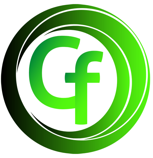 Favicon Gesfinan